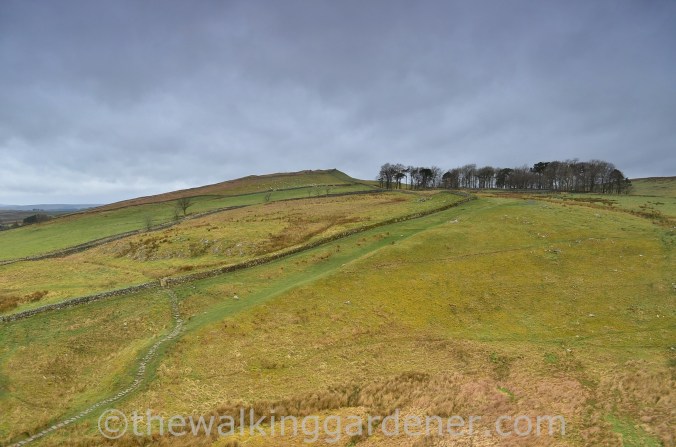 Whinshields Crags (1)
