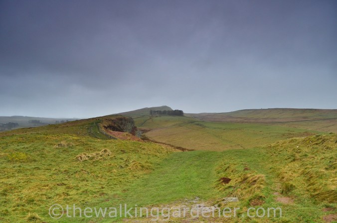 Whinshields Crags (2)