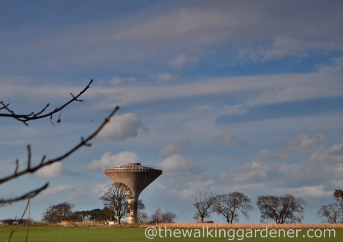 Morwick Water Tower