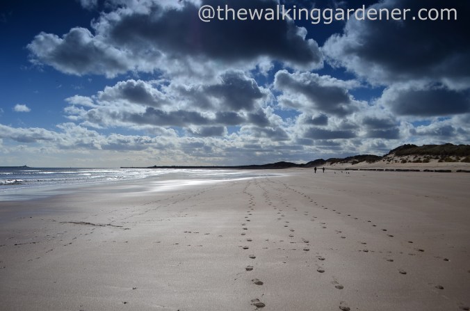 St Oswalds Way Day 4