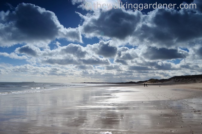 St Oswalds Way Day 4