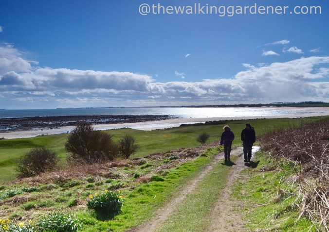 St Oswalds Way Day 4