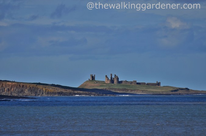Dunstanburgh Castle