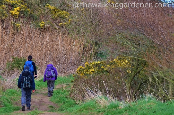 St Oswalds Way Day 4 (26)