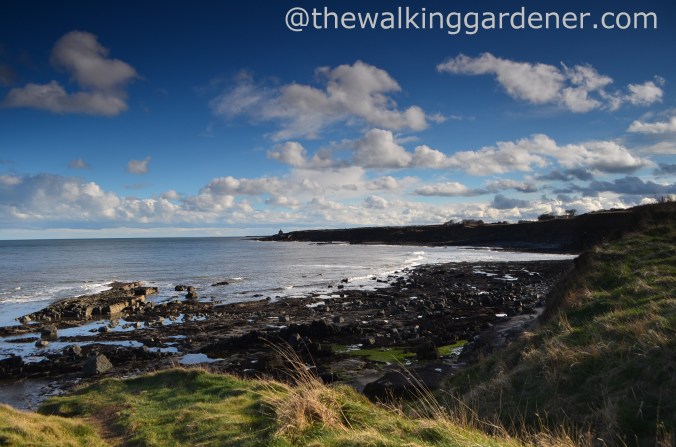 St Oswalds Way Day 4 (31)