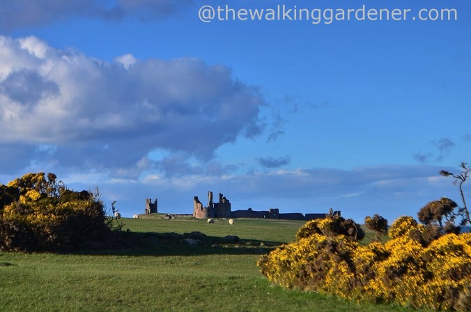 Dunstanburgh Castle