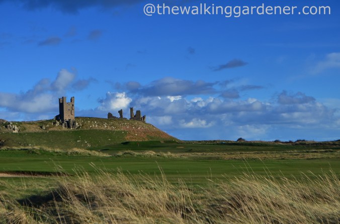 Dunstanburgh Castle