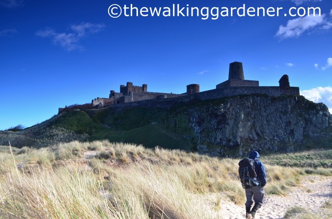 Bamburgh Castle (3)