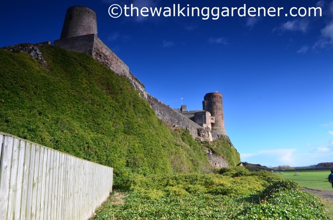 Bamburgh Castle (4)