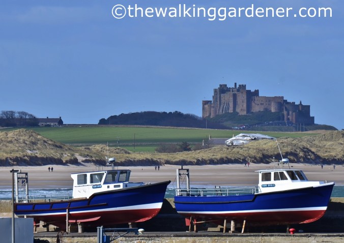 Bamburgh Castle