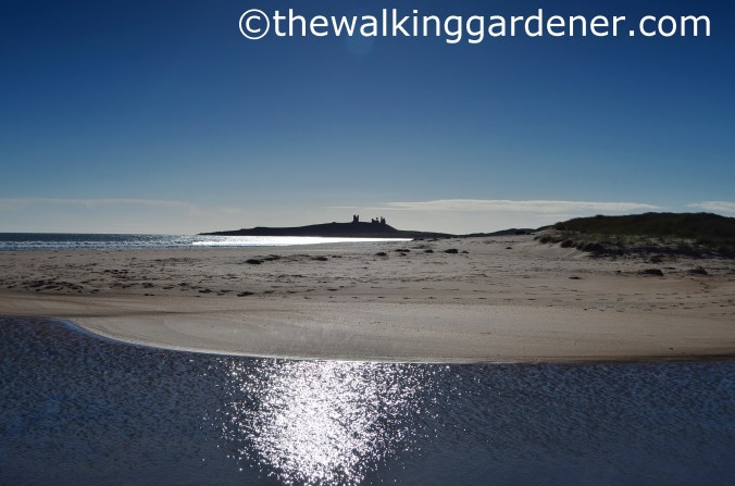 Dunstanburgh Castle