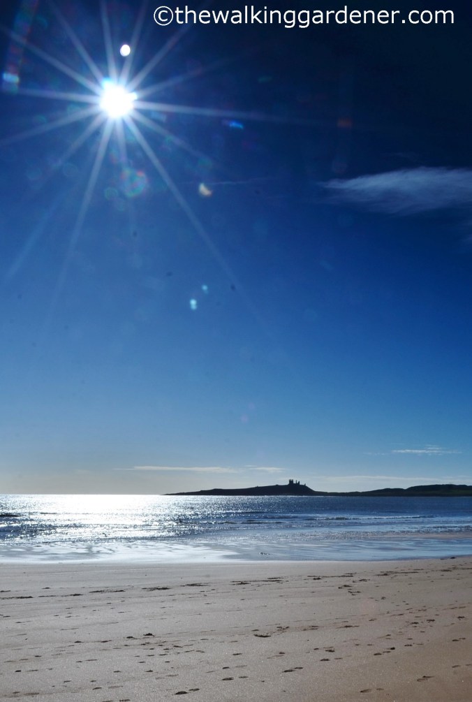 St Oswalds Way Day 5