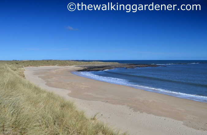 St Oswalds Way Day 5 (4)