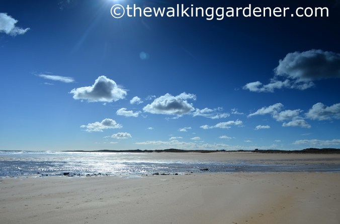 St Oswalds Way Day 5