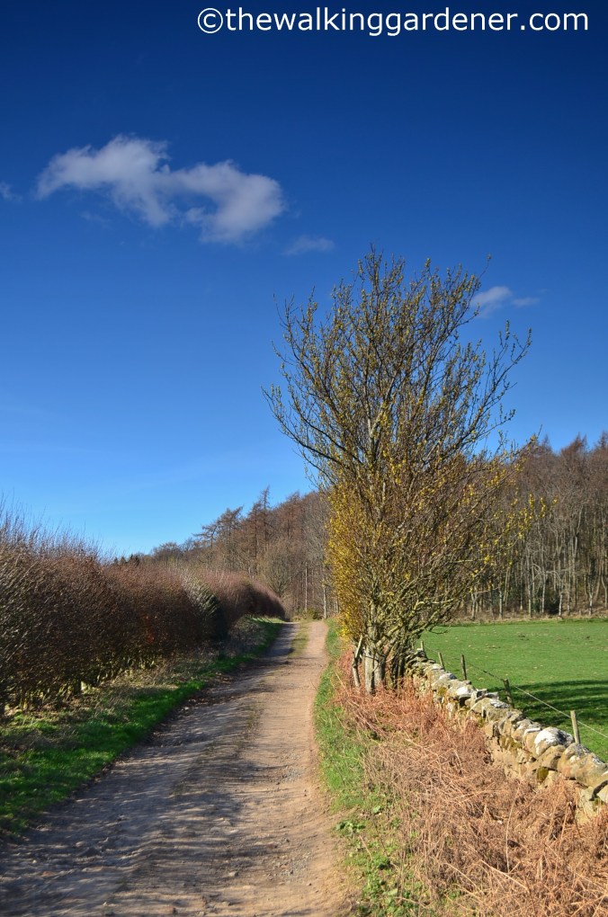 St Oswalds Way Day 6 (10)