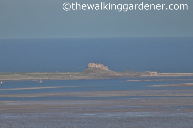 St Oswalds Way Day 6 (12)