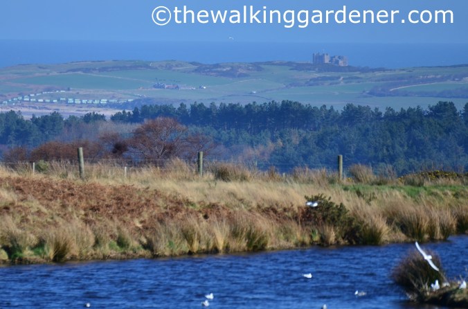 St Oswalds Way Day 6 (14)