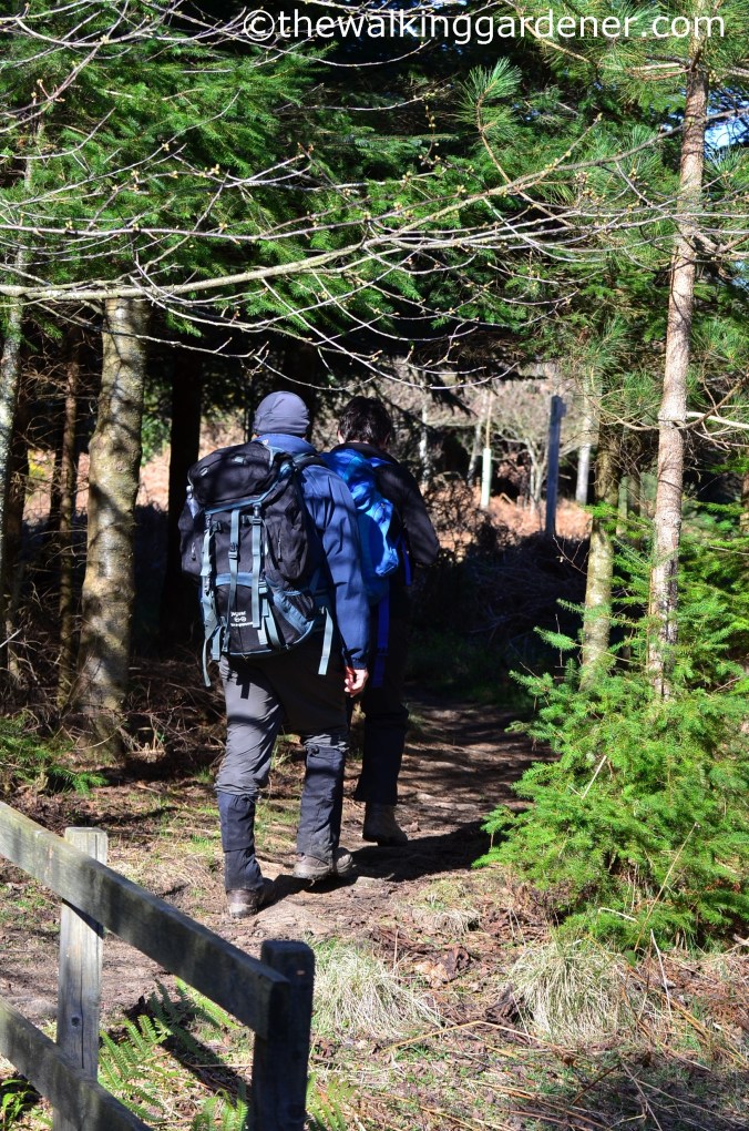 St Oswalds Way Day 6 (15)