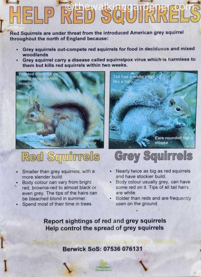 St Oswalds Way Day 6 (16)