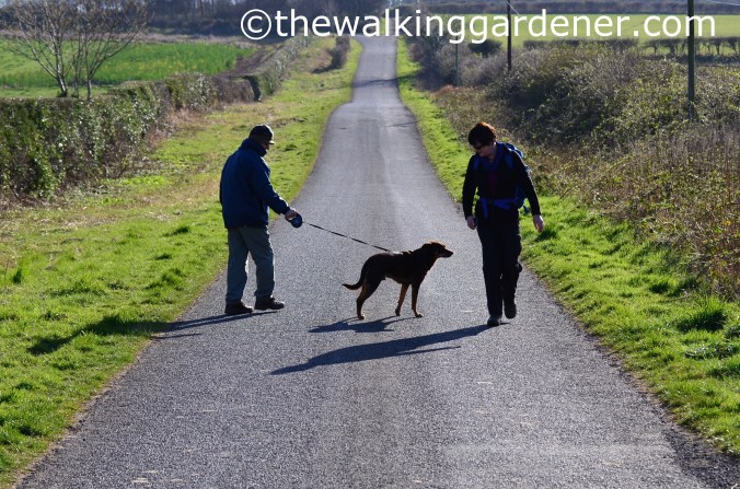 St Oswalds Way Day 6 (17)