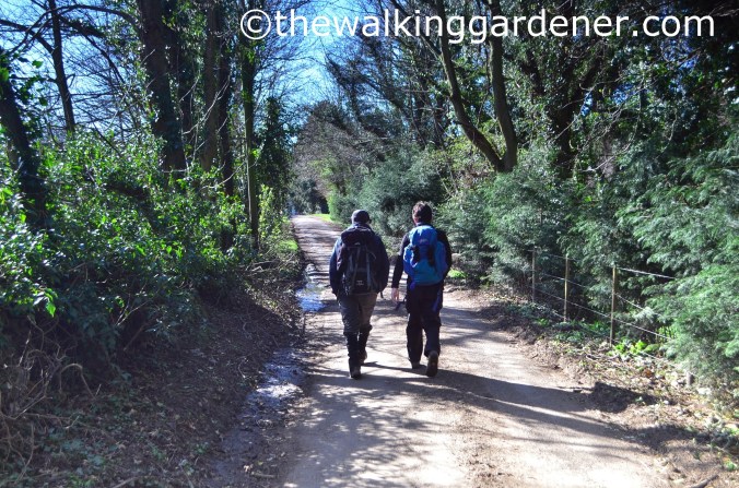 St Oswalds Way Day 6 (6)