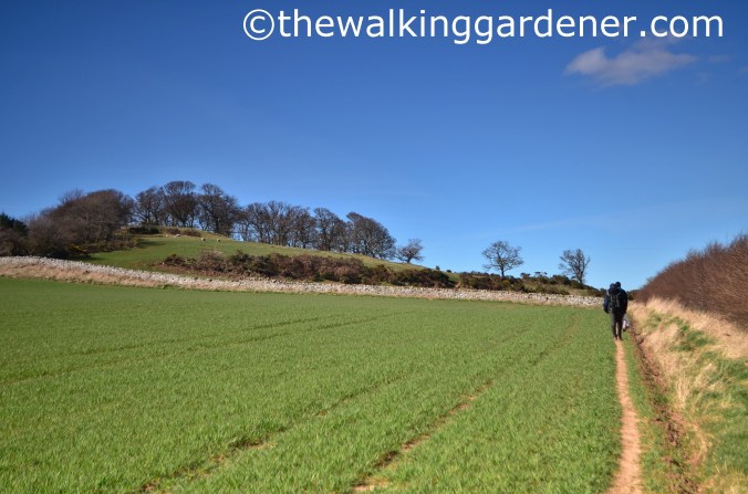 St Oswalds Way Day 6 (9)