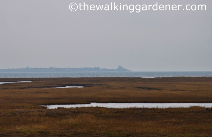 St Oswalds Way Day 7 (1)