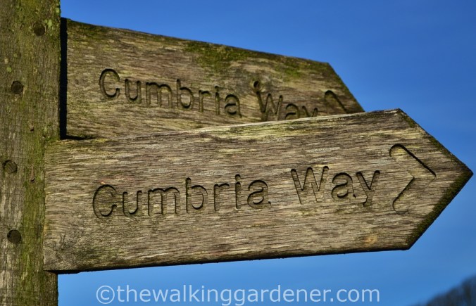 Cumbria Way Sign (1)
