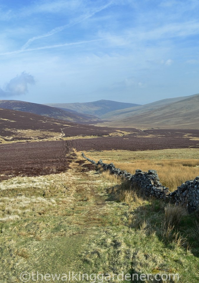 High Pike Cumbria Way