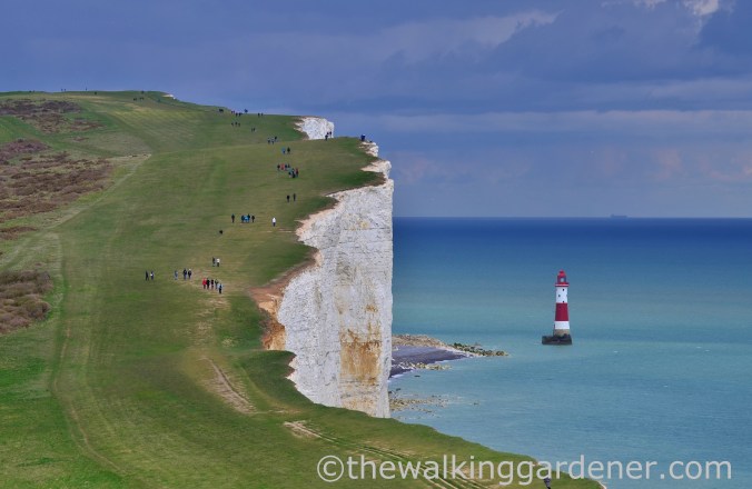 Beachy Head Lighthouse