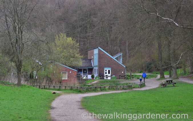 Queen Elizabeth Country Park