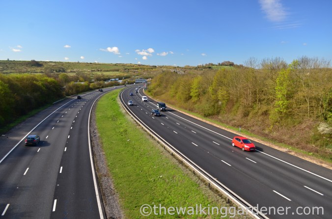 South Downs Way Day 1 (1)