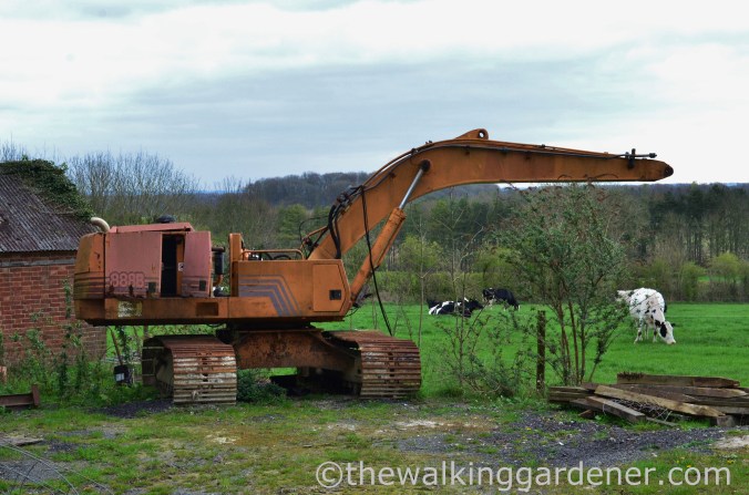 South Downs Way Day 1 (12)