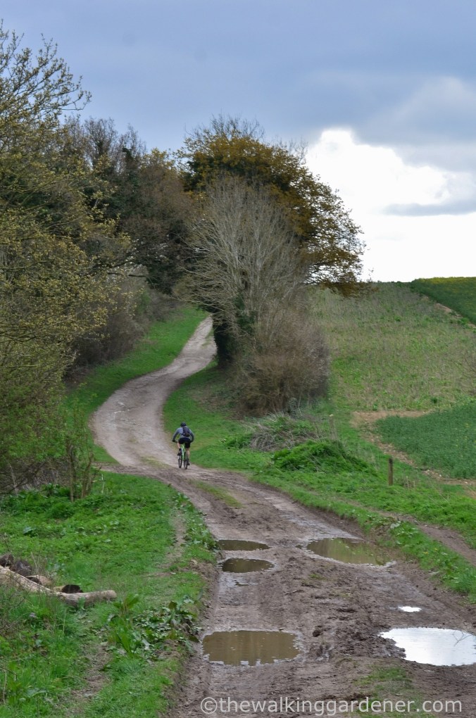 South Downs Way Day 1 (13)