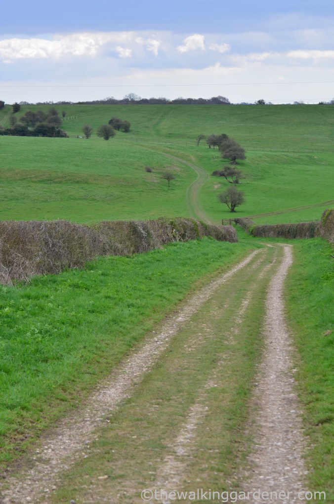 South Downs Way Day 1 (16)