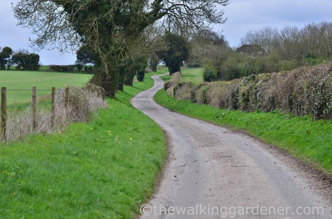 South Downs Way Day 1 (17)