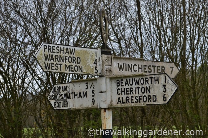 South Downs Way Day 1 (18)