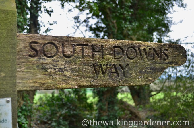 South Downs Way Day 1