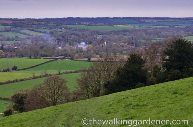 South Downs Way Day 1 (24)