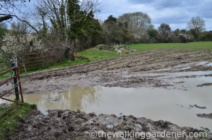 South Downs Way Day 1 (26)