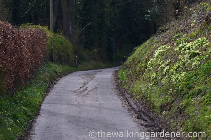 South Downs Way Day 1 (3)