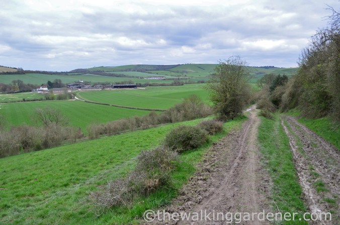 South Downs Way Day 1 (32)
