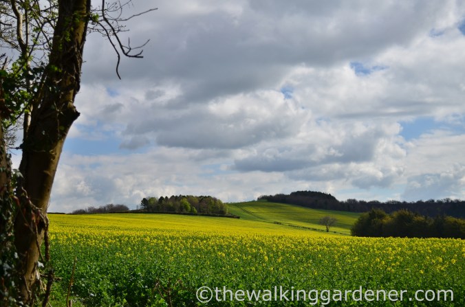 South Downs Way Day 1 (5)