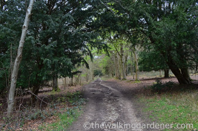 South Downs Way Day 2 (11)