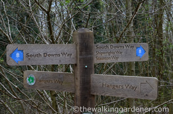 South Downs Way Day 2 (12)