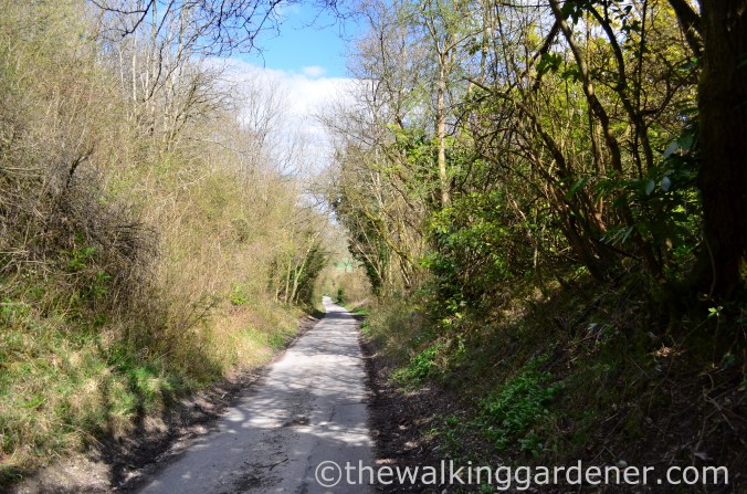 South Downs Way Day 2 (17)