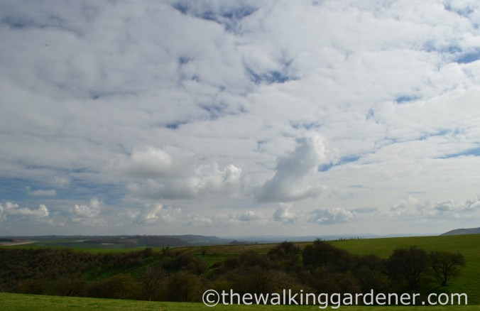 South Downs Way Day 2 (3)