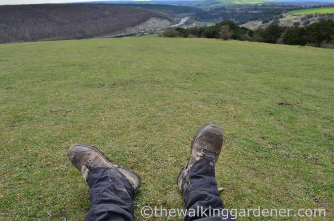 South Downs Way Day 2 (8)