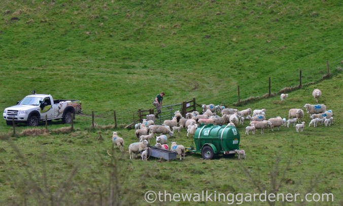 South Downs Way Day 2 (9)