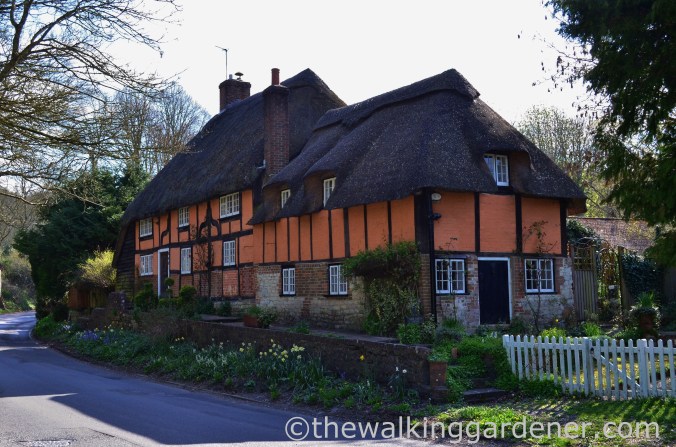 South Gardens Cottage B&B, South Harting